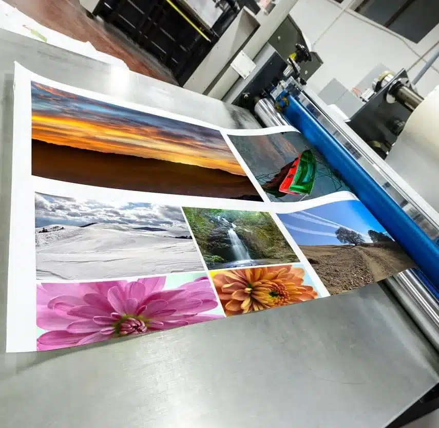 Tirage photo haute qualité — couleurs riches et détails précis